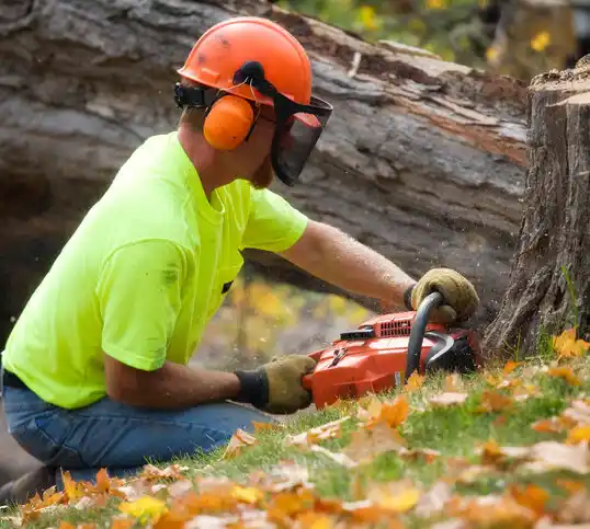 tree services Cary